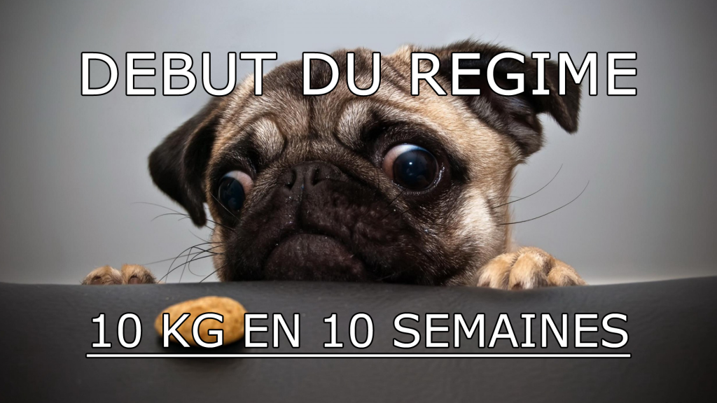 debut-regime-10kg-10semaines-v2